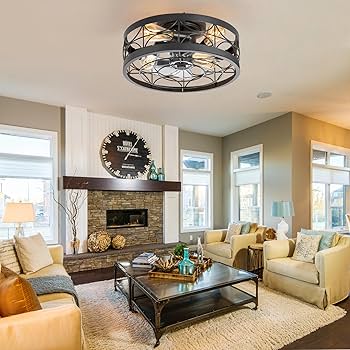 ZYD Caged Ceiling Fan with Light, 16.5” Ceiling Fans with